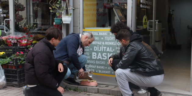Toplumsal Sorumluluk Projesiyle Sokak Hayvanlarına Destek
